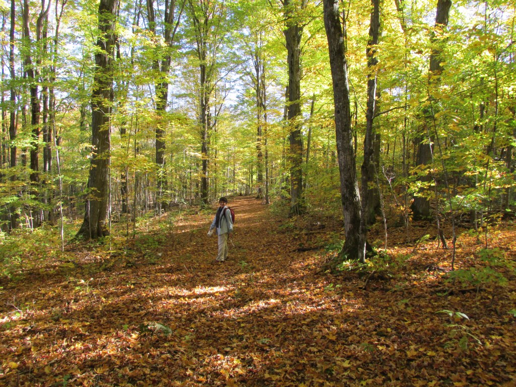 This image has an empty alt attribute; its file name is img_0652.jpg